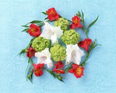 Tapeta Nature Flowers 514.jpg